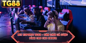 Blog Cá Cược TG88 – Cập Nhật Kiến Thức & Kinh Nghiệm - cipuno
