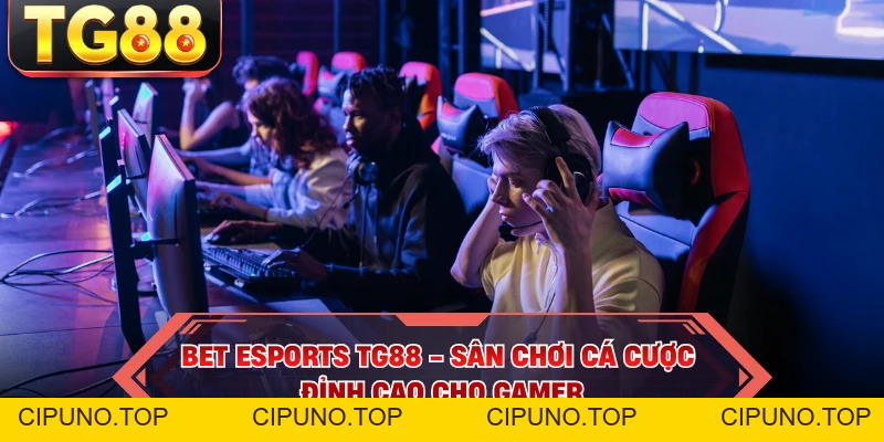 Bet Esports TG88 - Sân Chơi Cá Cược Đỉnh Cao Cho Gamer - cipuno