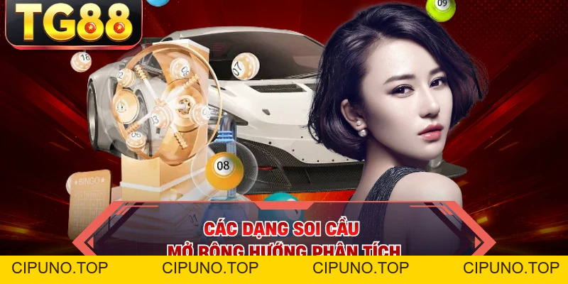 Soi Cầu Lô - Chuẩn Dữ Liệu, Mở Lối Dự Đoán Đầy Cuốn Hút - cipuno