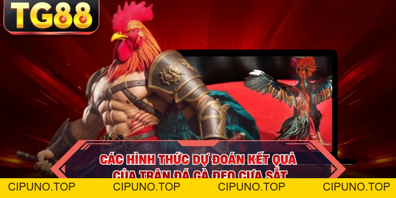 Đá Gà Cựa Sắt - Chào Đón Giải Đấu Mùa Hè Đầy Hấp Dẫn - cipuno