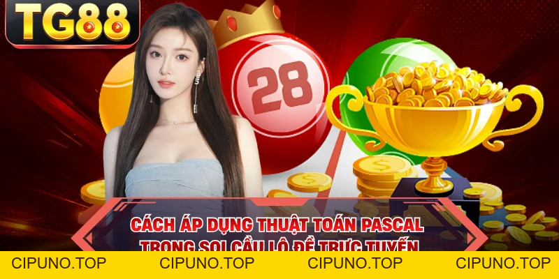 Soi Cầu Đề - Bí Quyết Chốt Số Trúng Lớn Mỗi Ngày Tại TG88 - cipuno