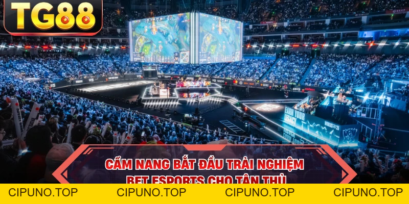 Bet Esports TG88 - Sân Chơi Cá Cược Đỉnh Cao Cho Gamer - cipuno