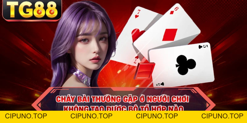 Phỏm - Game Bài Truyền Thống Và Tiền Thưởng Cực Lớn - cipuno