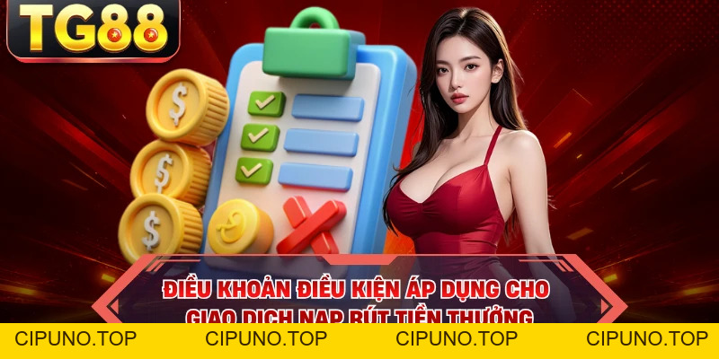 Điều Khoản Điều Kiện - Khung Quy Tắc Bảo Vệ Người Cược TG88 - cipuno