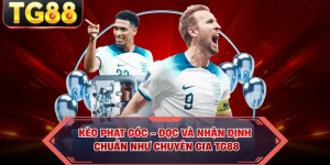 Blog Cá Cược TG88 – Cập Nhật Kiến Thức & Kinh Nghiệm - cipuno