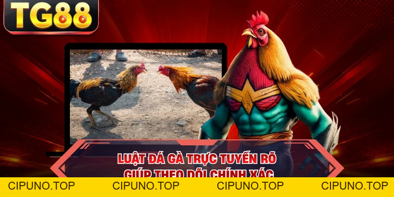 Đá Gà Trực Tuyến - Mãn Nhãn Với Loạt Đấu Nghẹt Thở - cipuno