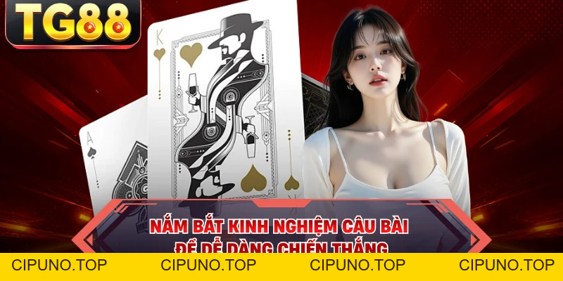 Phỏm - Game Bài Truyền Thống Và Tiền Thưởng Cực Lớn - cipuno