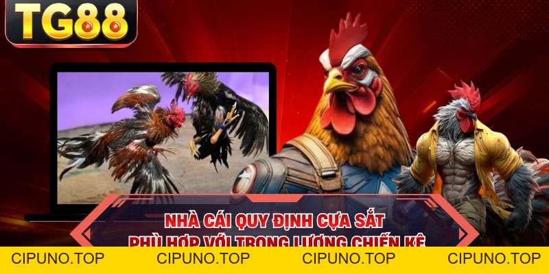 Đá Gà Cựa Sắt - Chào Đón Giải Đấu Mùa Hè Đầy Hấp Dẫn - cipuno