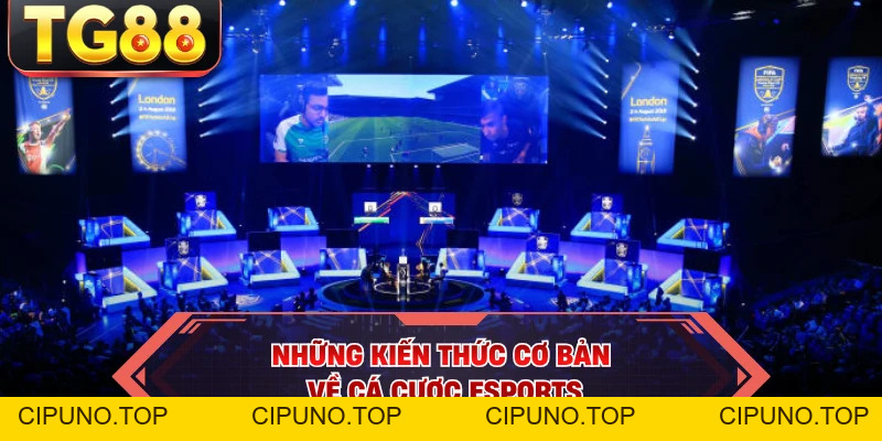 Bet Esports TG88 - Sân Chơi Cá Cược Đỉnh Cao Cho Gamer - cipuno