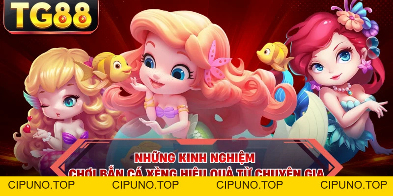 Bắn Cá Xèng - Giải Mã Luật Lệ Hấp Dẫn Từ Nhà Cái TG88 - cipuno