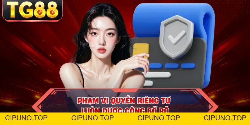 Quyền Riêng Tư - Quy Chuẩn Bảo Mật Người Chơi Cần Biết - cipuno