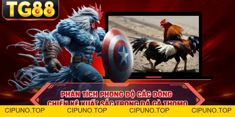 Đá Gà Thomo - Loại Hình Giải Trí Chọi Gà Rực Lửa Tại TG88 - cipuno