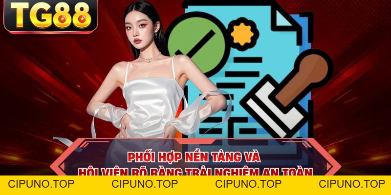 Chơi Có Trách Nhiệm - Bí Quyết Giữ Cuộc Vui An Toàn - cipuno