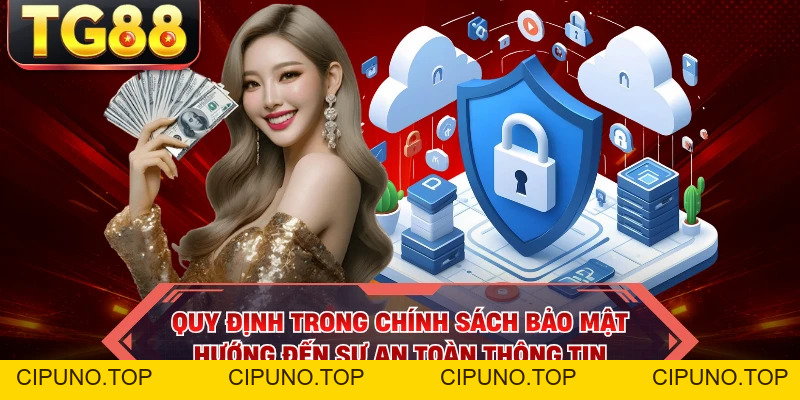 Chính Sách Bảo Mật - Quy Tắc An Toàn Khi Cược Tại TG88 - cipuno