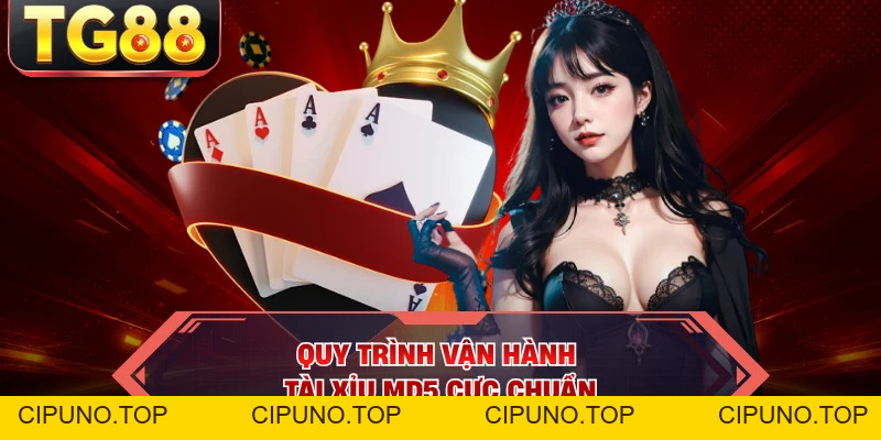 Tài Xỉu MD5 - Cách Đọc Phiên Chuẩn Xác Cho Người Mới - cipuno