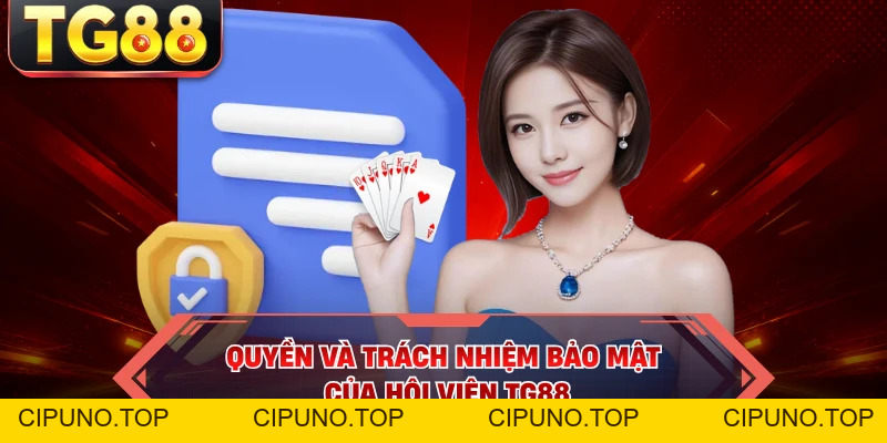 Quyền Riêng Tư - Quy Chuẩn Bảo Mật Người Chơi Cần Biết - cipuno
