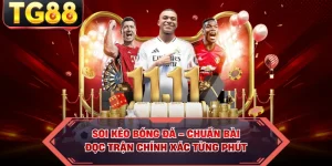 Blog Cá Cược TG88 – Cập Nhật Kiến Thức & Kinh Nghiệm - cipuno