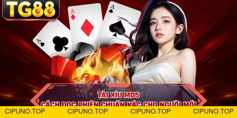 Tài Xỉu MD5 - Cách Đọc Phiên Chuẩn Xác Cho Người Mới - cipuno