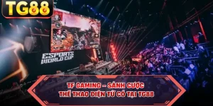 Blog Cá Cược TG88 – Cập Nhật Kiến Thức & Kinh Nghiệm - cipuno