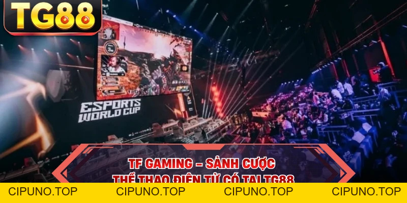 TF Gaming - Sảnh Cược Thể Thao Điện Tử Có Tại TG88 - cipuno