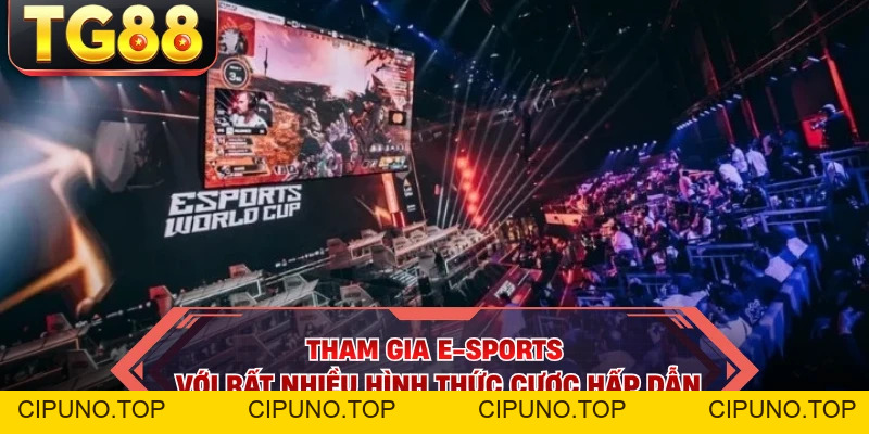 E-sports | Đặt Cược Vào Giải Đấu Điện Tử Lớn Có Tại TG88 - cipuno