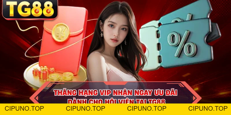 Khuyến Mãi TG88 - Săn Tiền Thưởng Từ Các Sự Kiện Hấp Dẫn - cipuno