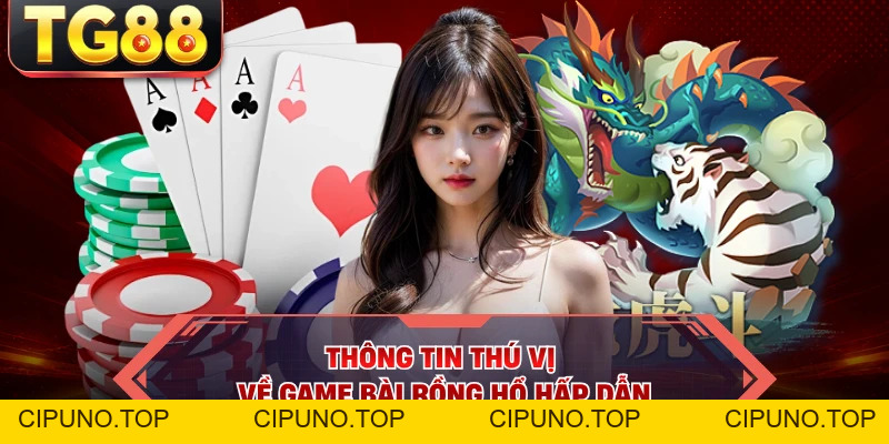 Rồng Hổ - Game Bài Cho Hội Viên Yêu Thích Casino Tại TG88 - cipuno