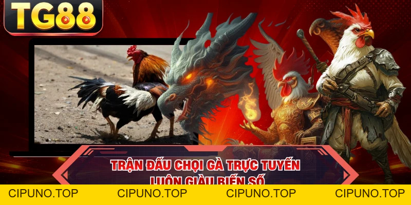 Đá Gà - Nghẹt Thở Tại TG88 Bí Quyết Soi Chiến Kê Thắng Thế - cipuno
