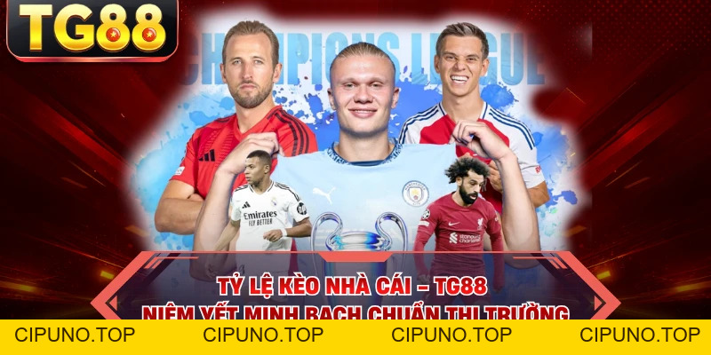 Tỷ Lệ Kèo Nhà Cái - TG88 Niêm Yết Minh Bạch Chuẩn Thị Trường - cipuno